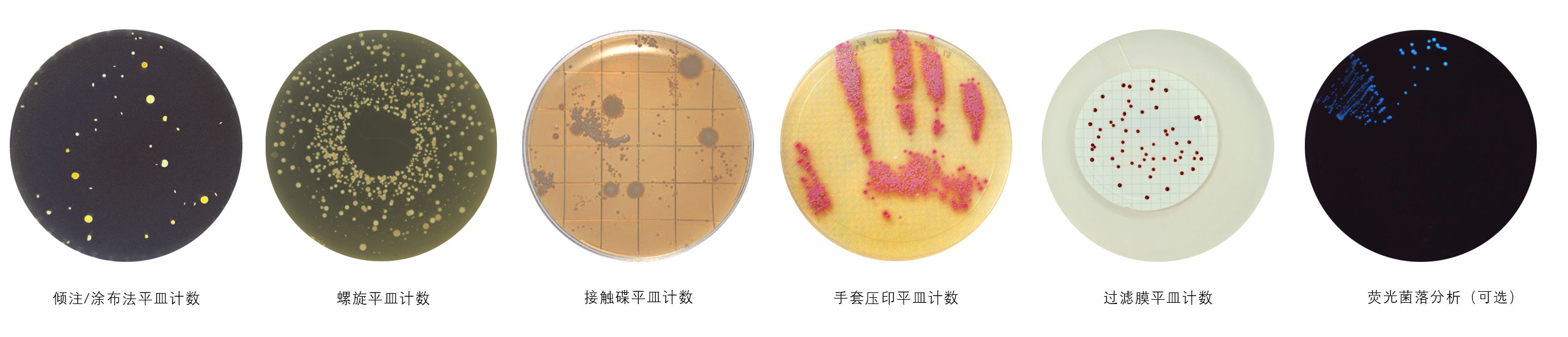 菌落計(jì)數(shù)儀